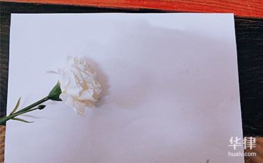 专利申请需要公司吗怎么申请