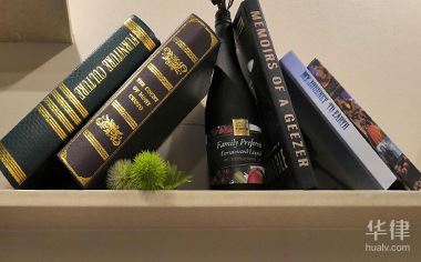 专利办登费和专利年费一样吗