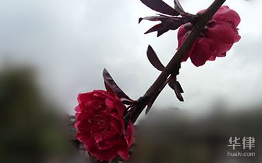 申请商标注册被驳回了怎么办