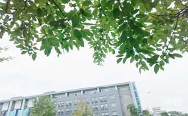 企业可以在网上注册商标吗