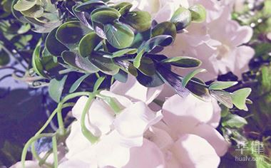 保健品有注册商标吗