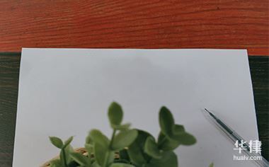 品种名称能不能做商标使用